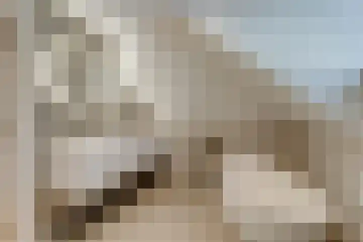 Baarnseweg 31 Bosch en Duin thumbnail 43