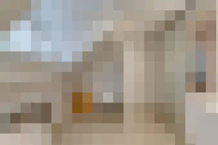 Baarnseweg 31 Bosch en Duin thumbnail 44