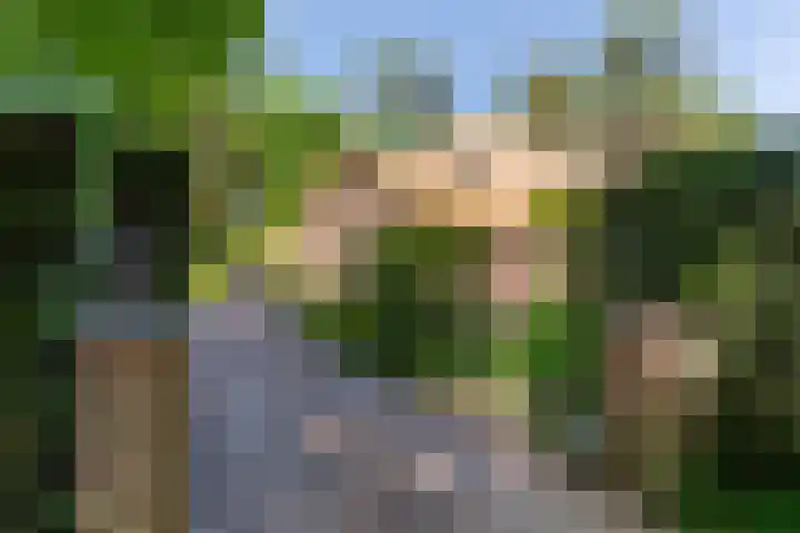 Baarnseweg 31 Bosch en Duin thumbnail 55