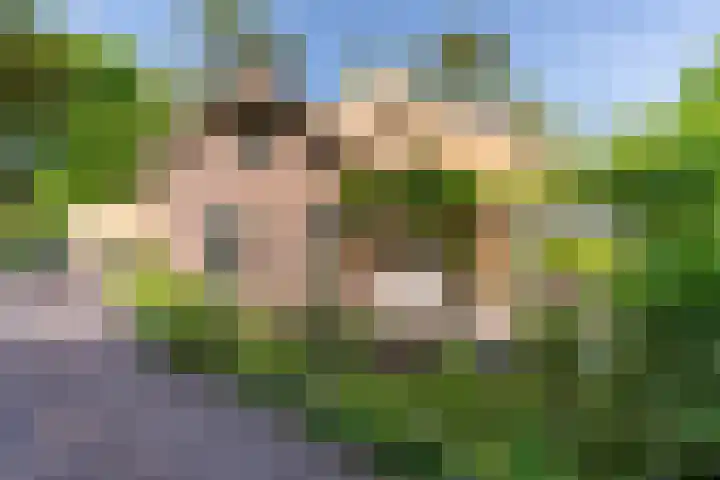 Baarnseweg 31 Bosch en Duin thumbnail 56