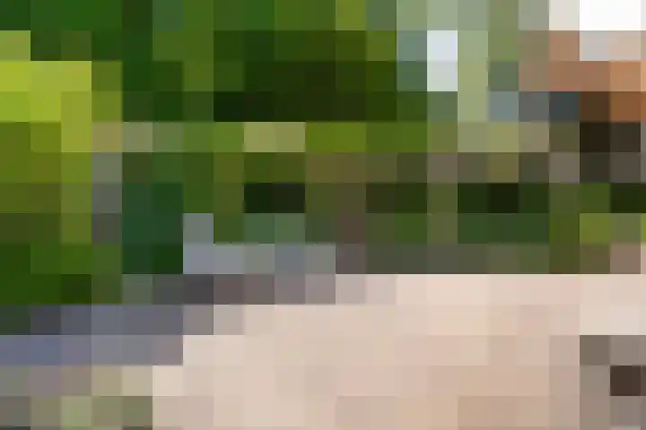 Baarnseweg 31 Bosch en Duin thumbnail 57