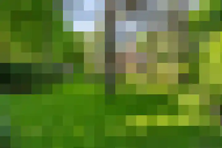 Baarnseweg 31 Bosch en Duin thumbnail 60