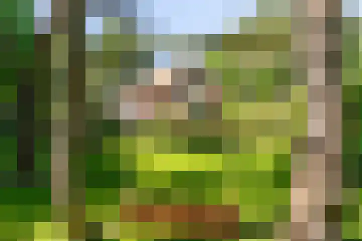 Baarnseweg 31 Bosch en Duin thumbnail 61