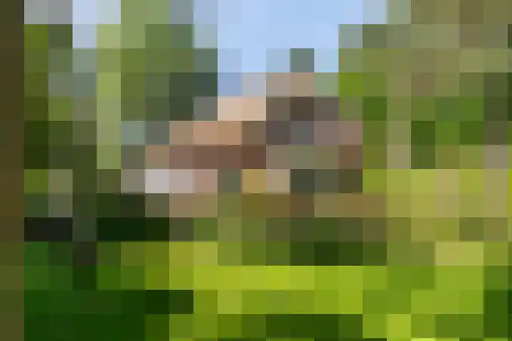 Baarnseweg 31 Bosch en Duin thumbnail 73