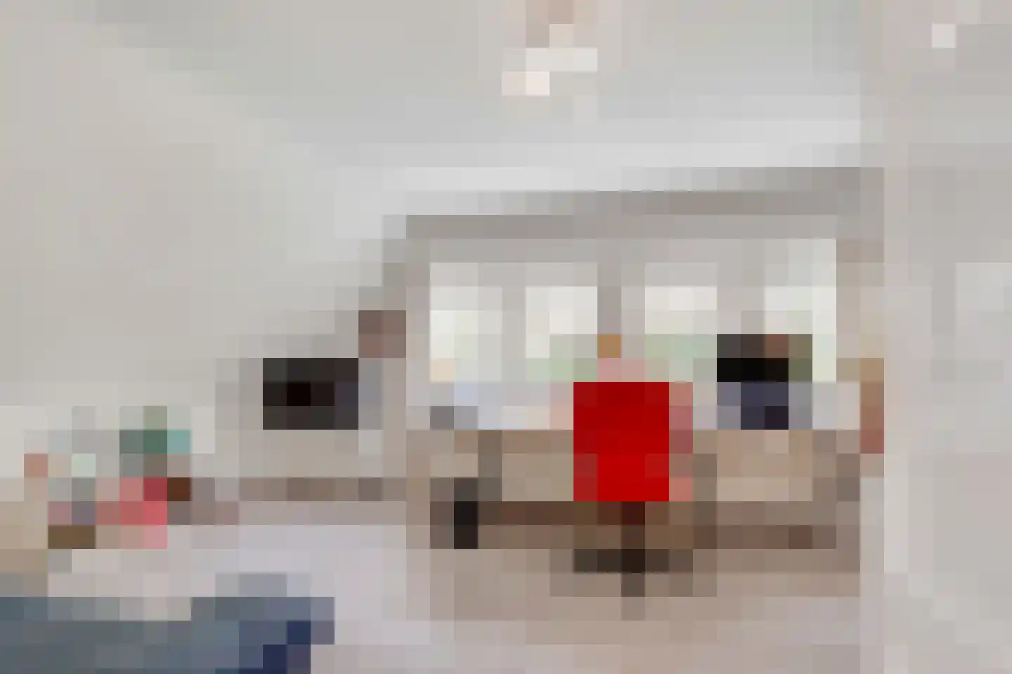Baarnseweg 41 A Bosch en Duin thumbnail 26