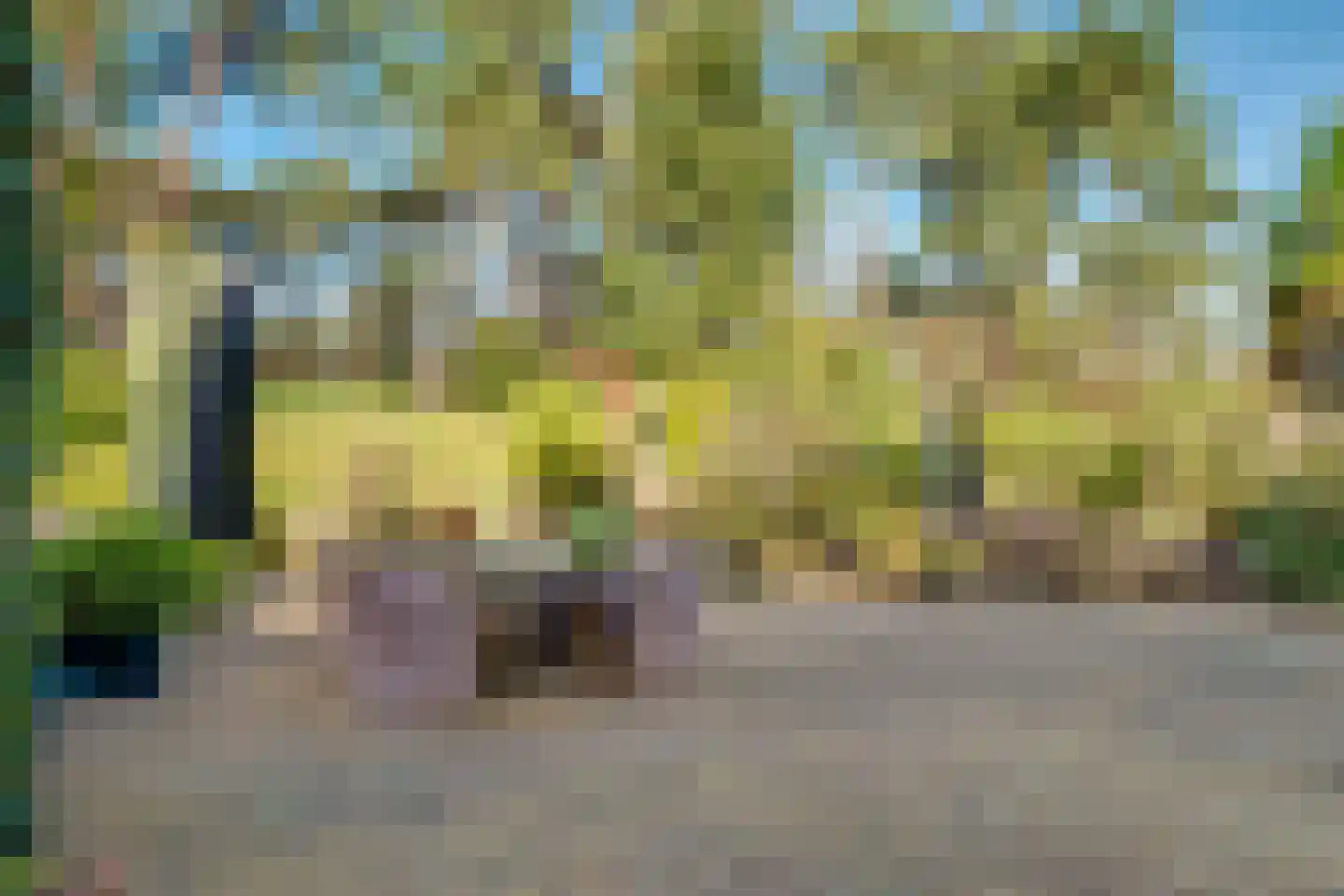 Baarnseweg 41 A Bosch en Duin thumbnail 30