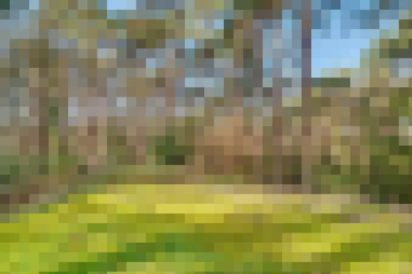 Baarnseweg 41 A Bosch en Duin thumbnail 36