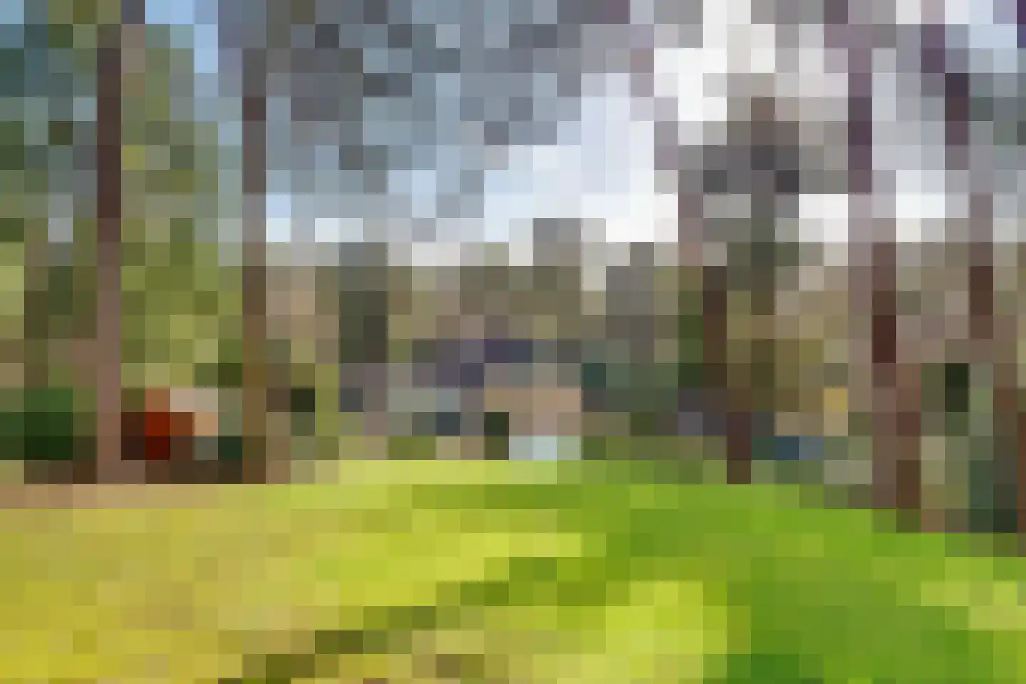 Baarnseweg 41 A Bosch en Duin thumbnail 37