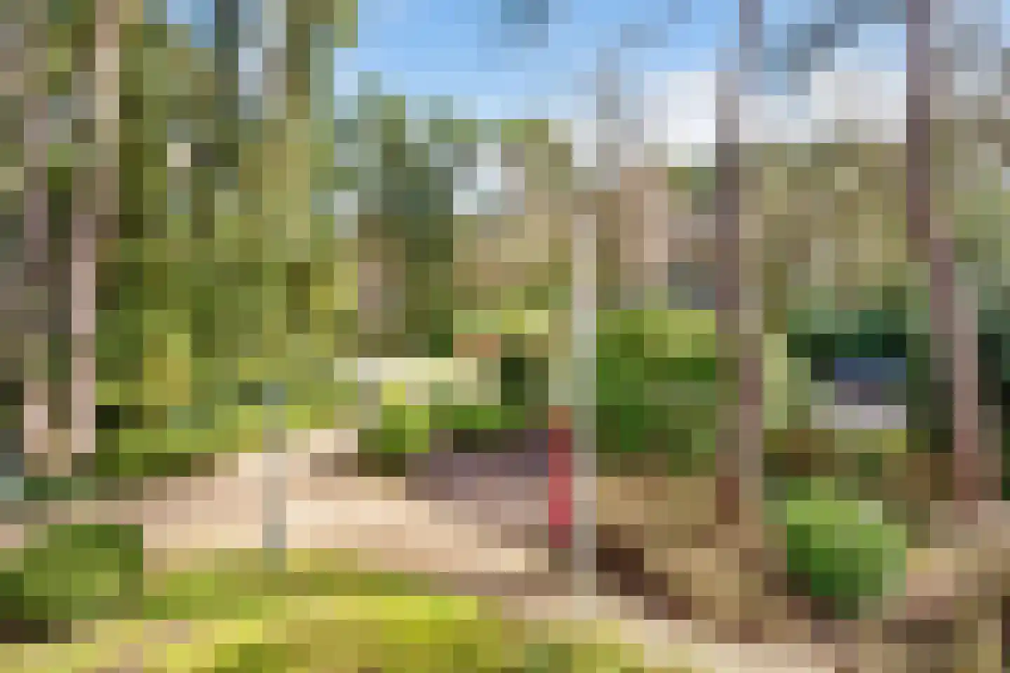 Baarnseweg 41 A Bosch en Duin thumbnail 5
