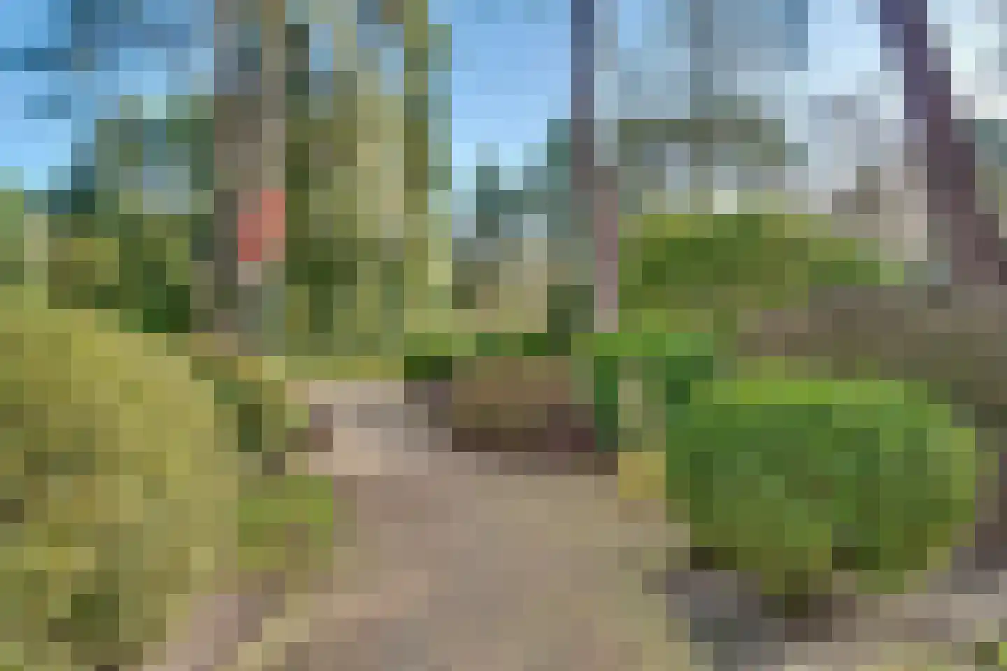 Baarnseweg 41 A Bosch en Duin thumbnail 6