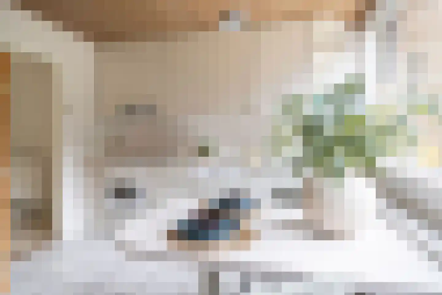 Baarnseweg 46 Bosch en Duin thumbnail 11