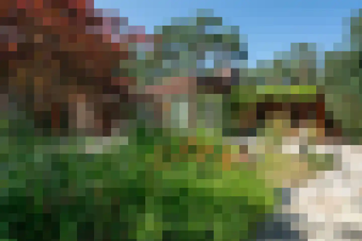 Baarnseweg 46 Bosch en Duin thumbnail 32