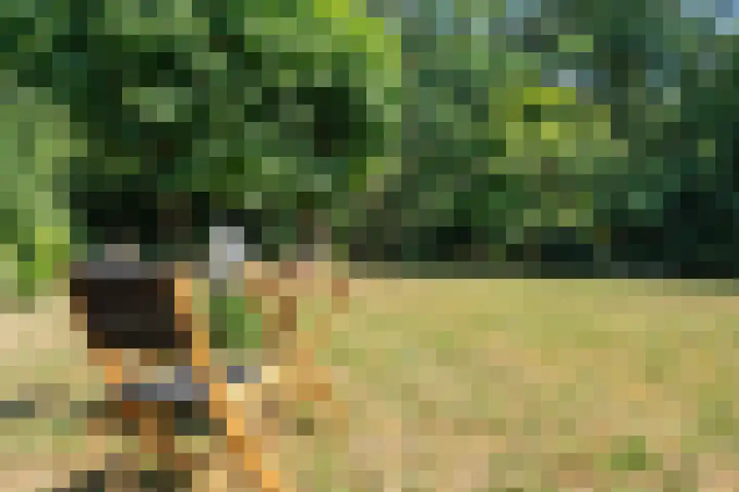 Baarnseweg 46 Bosch en Duin thumbnail 33
