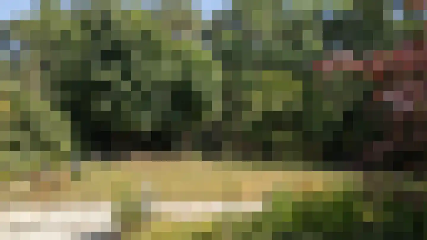 Baarnseweg 46 Bosch en Duin thumbnail 34
