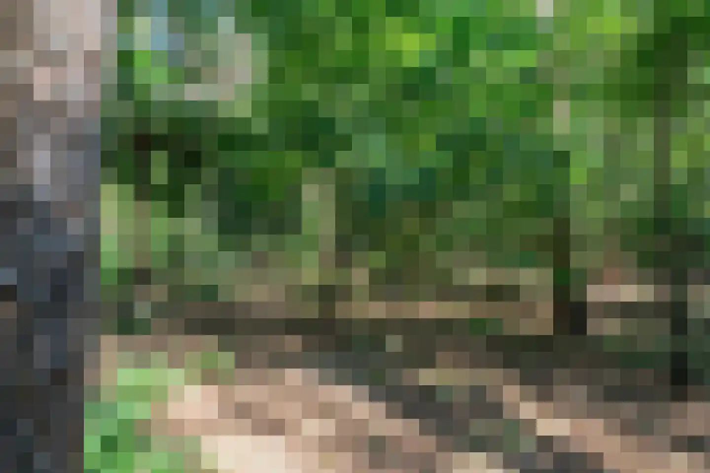 Baarnseweg 46 Bosch en Duin thumbnail 35