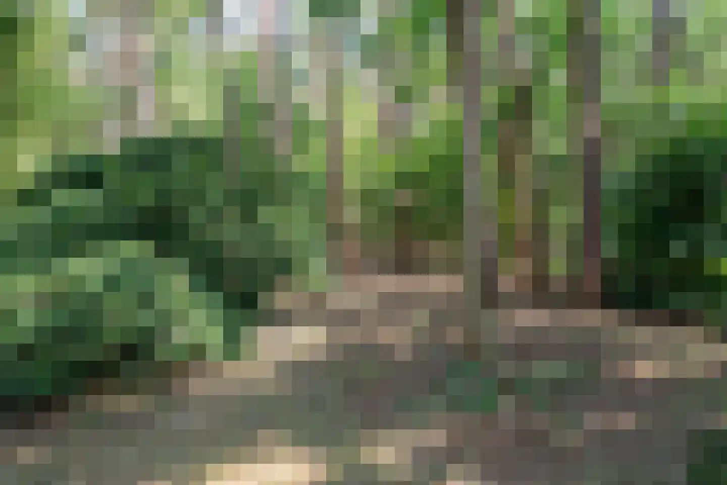 Baarnseweg 46 Bosch en Duin thumbnail 36