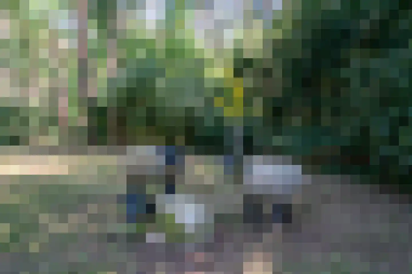 Baarnseweg 46 Bosch en Duin thumbnail 37