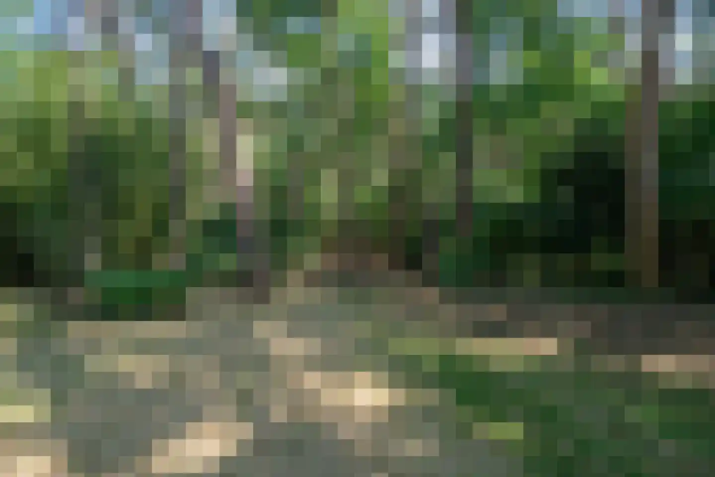 Baarnseweg 46 Bosch en Duin thumbnail 38