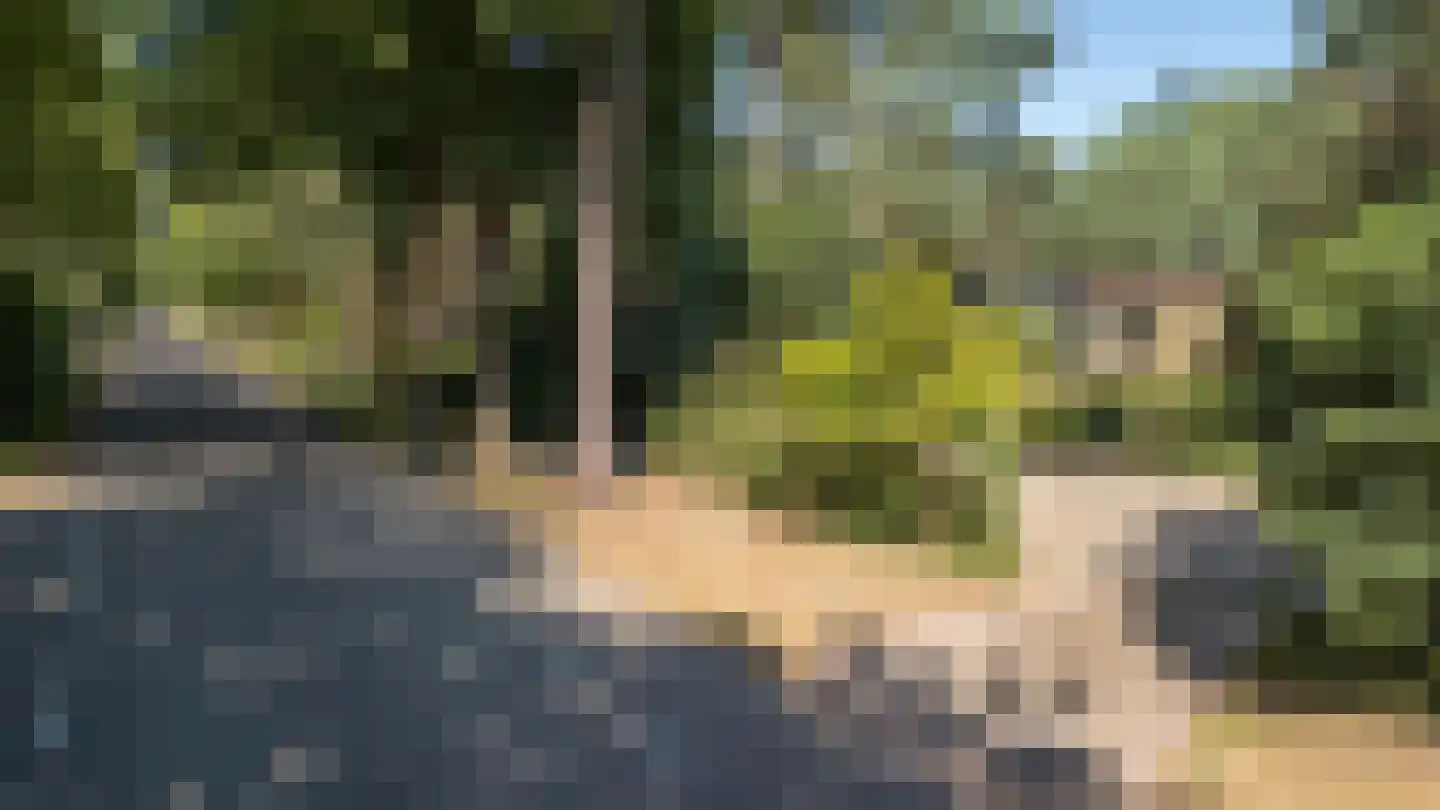 Baarnseweg 46 Bosch en Duin thumbnail 39