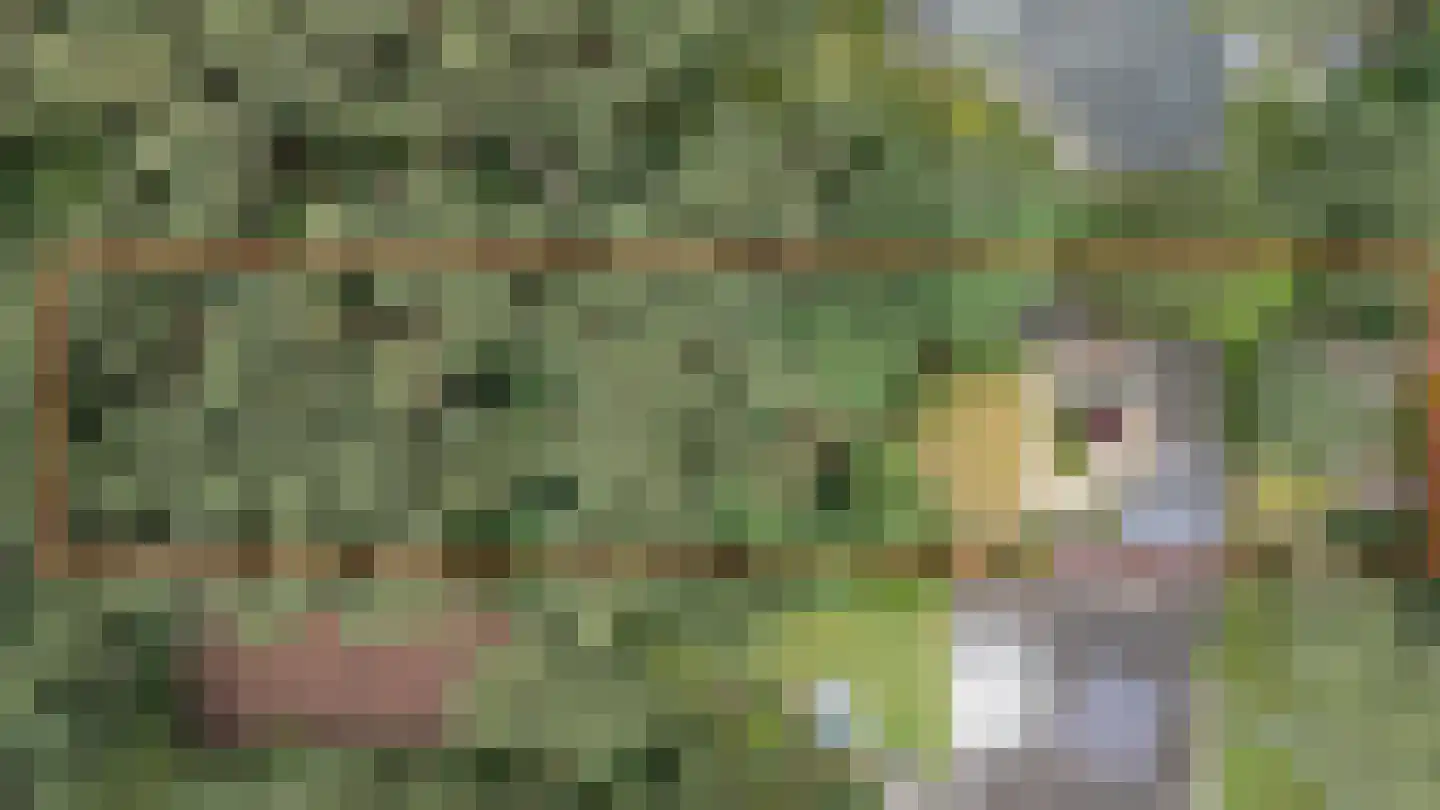 Baarnseweg 46 Bosch en Duin thumbnail 4