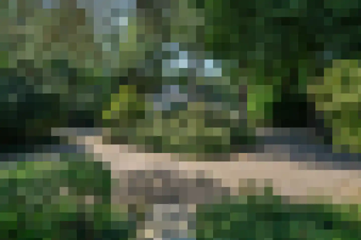 Baarnseweg 46 Bosch en Duin thumbnail 41