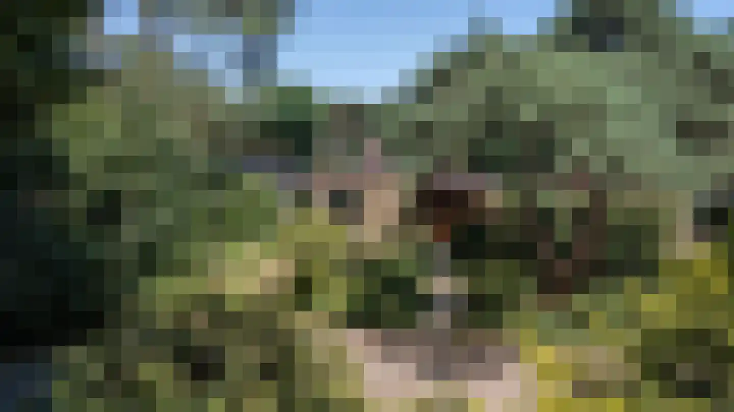 Baarnseweg 46 Bosch en Duin thumbnail 43