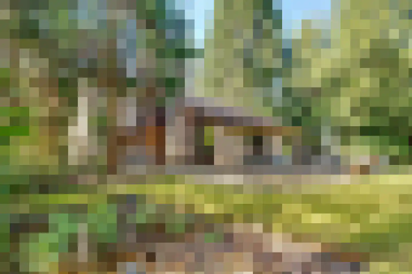 Baarnseweg 52 A Bosch en Duin thumbnail 33
