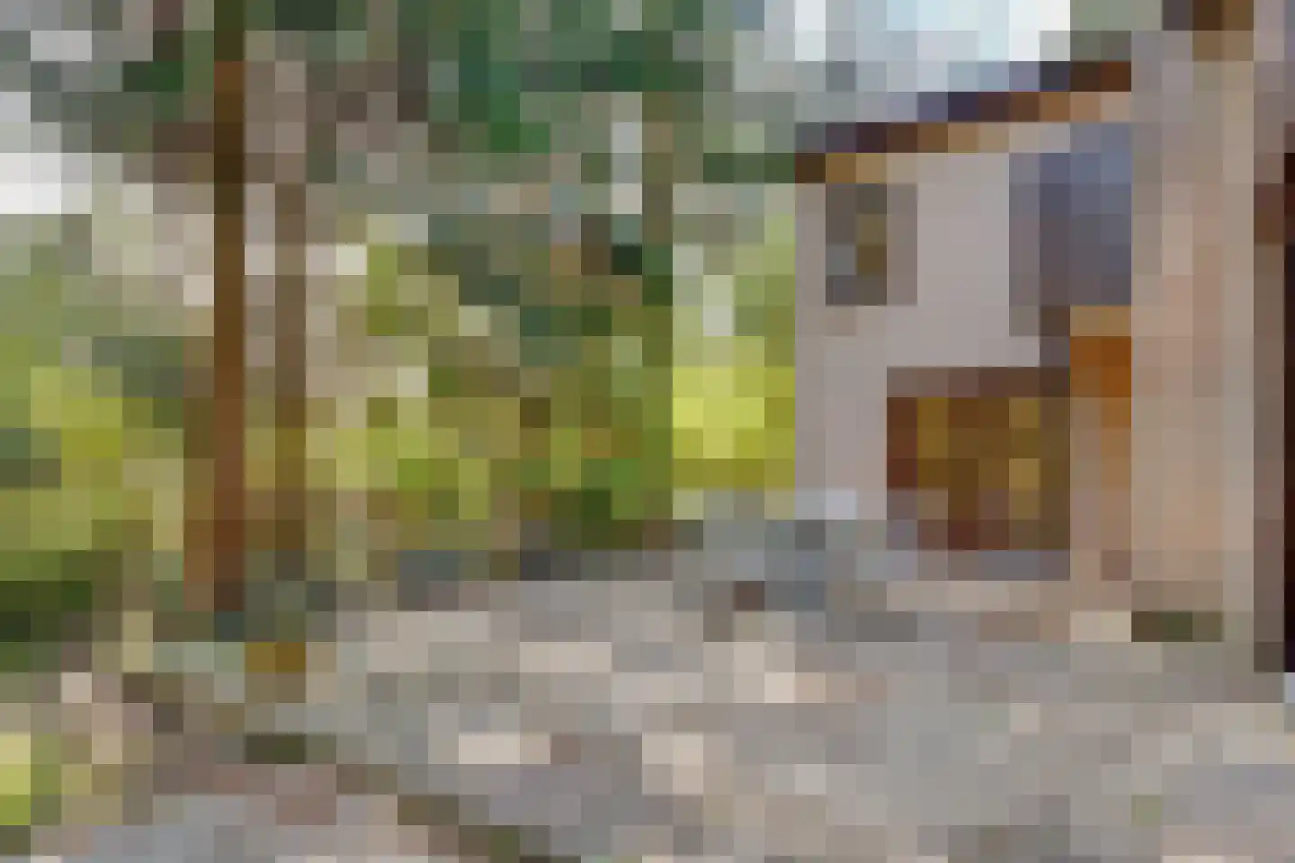 Baarnseweg 52 A Bosch en Duin thumbnail 34
