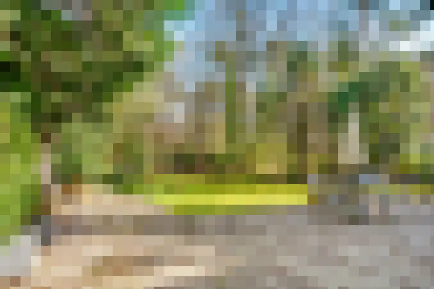 Baarnseweg 52 A Bosch en Duin thumbnail 36
