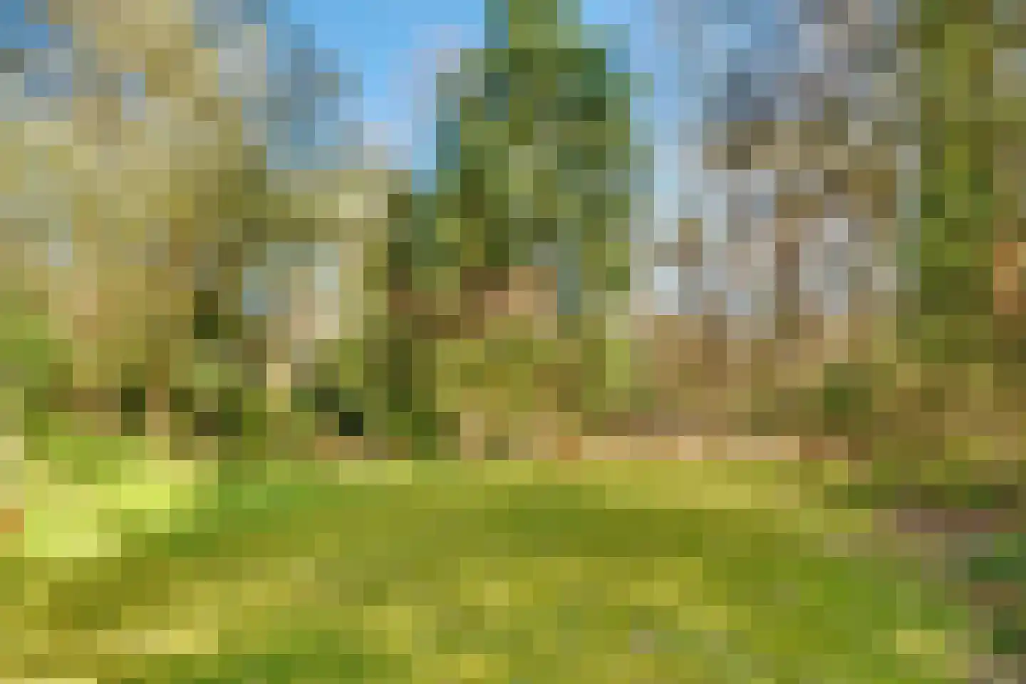 Baarnseweg 52 A Bosch en Duin thumbnail 37