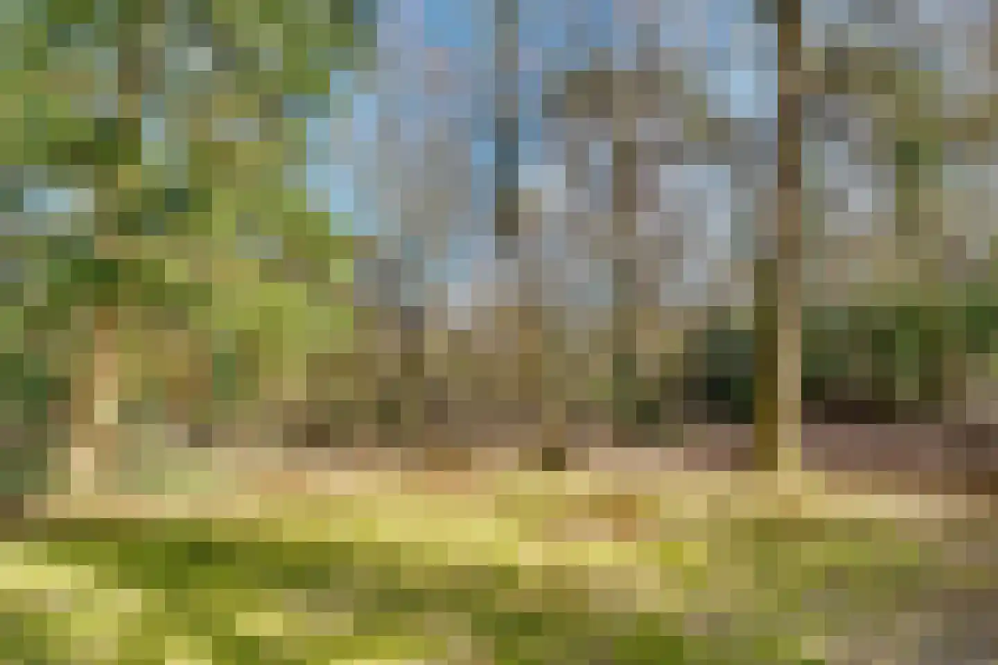 Baarnseweg 52 A Bosch en Duin thumbnail 38