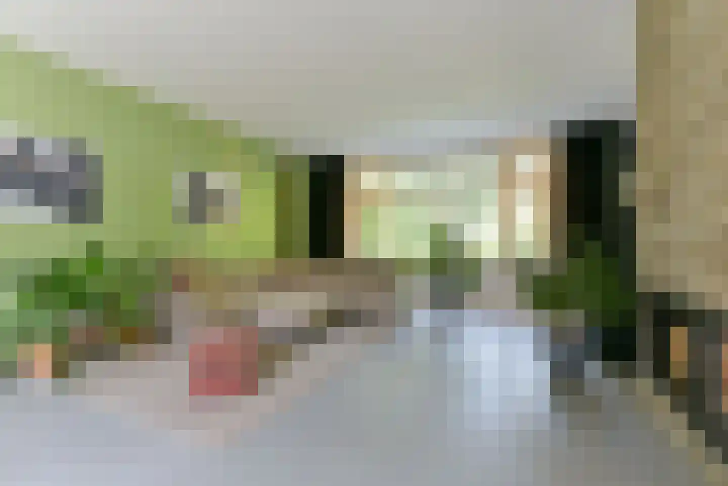 Baarnseweg 8 Bosch en Duin thumbnail 10