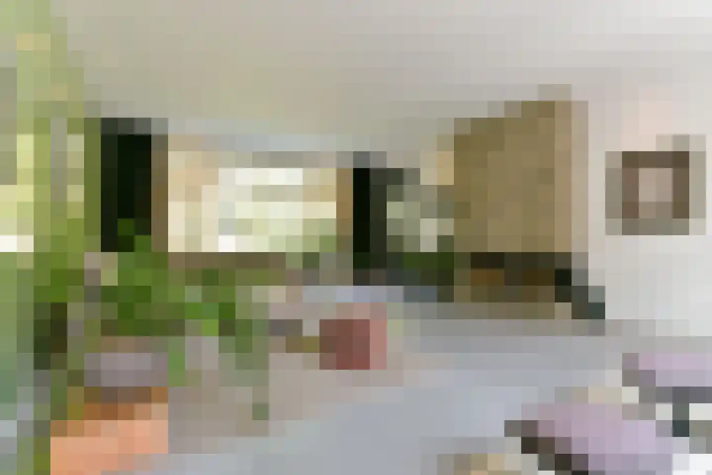 Baarnseweg 8 Bosch en Duin thumbnail 12
