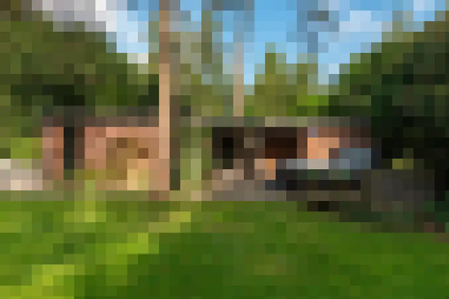 Baarnseweg 8 Bosch en Duin thumbnail 30
