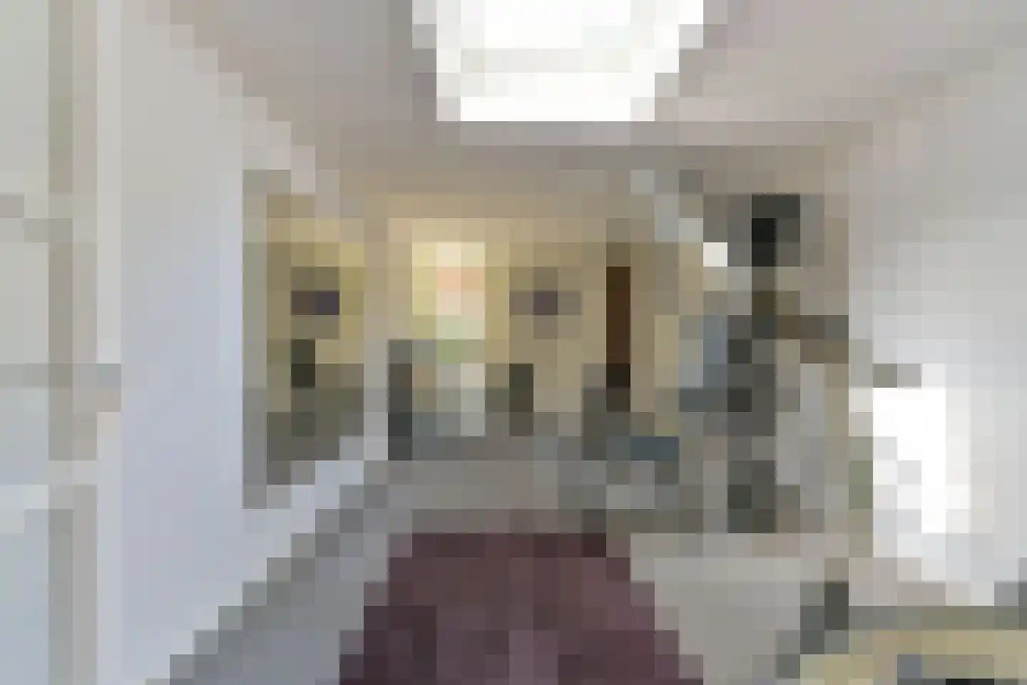 Baarnseweg 8 Bosch en Duin thumbnail 31