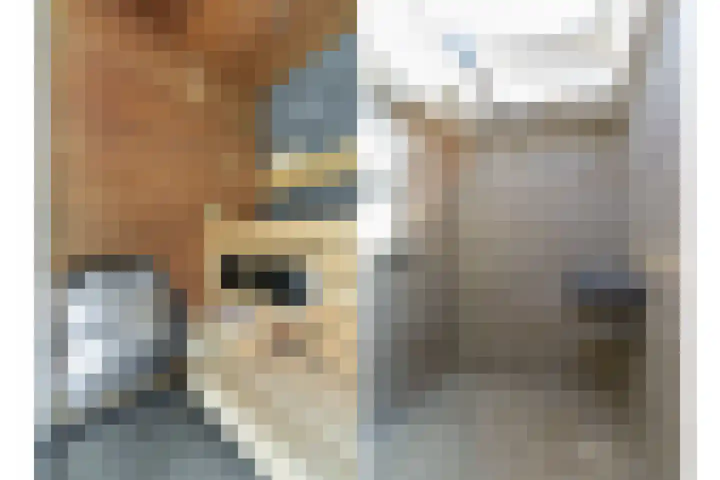 Baarnseweg 8 Bosch en Duin thumbnail 33