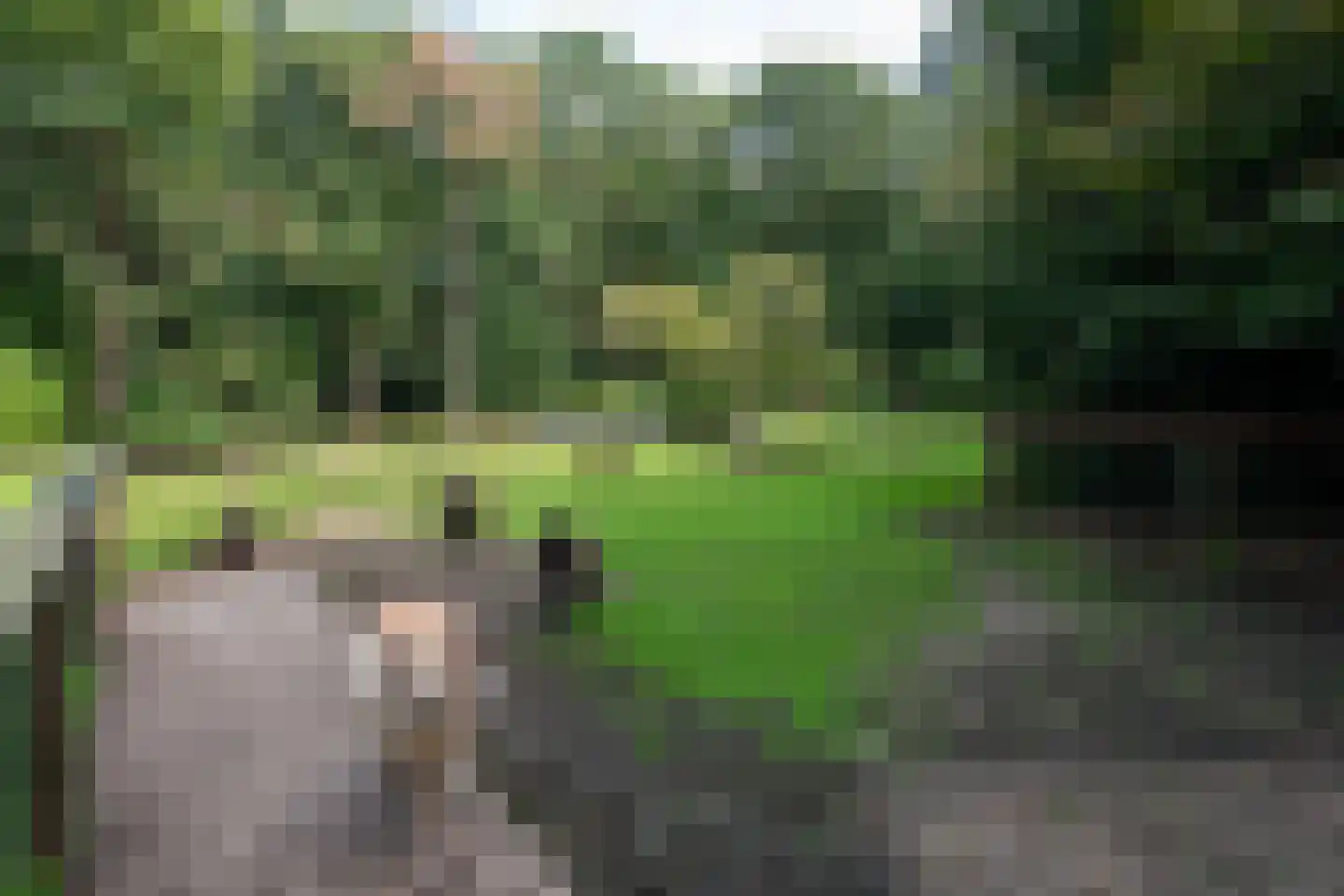 Baarnseweg 8 Bosch en Duin thumbnail 36