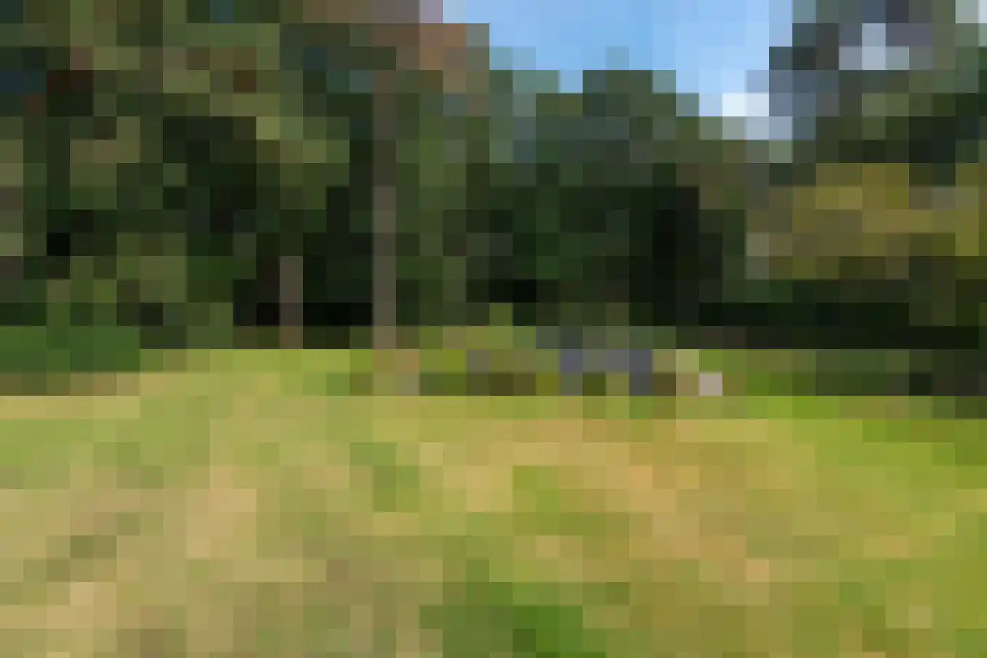 Baarnseweg 8 Bosch en Duin thumbnail 37