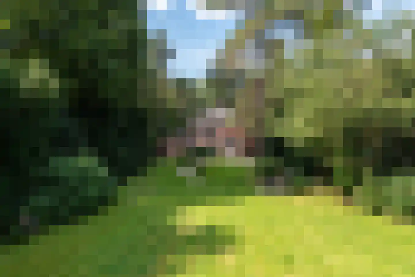 Baarnseweg 8 Bosch en Duin thumbnail 39