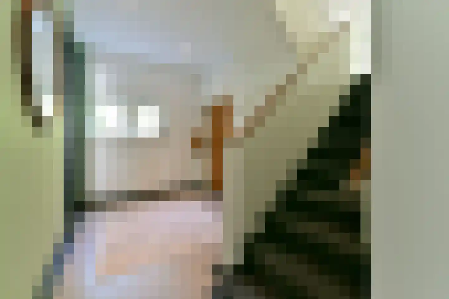 Baarnseweg 8 Bosch en Duin thumbnail 42