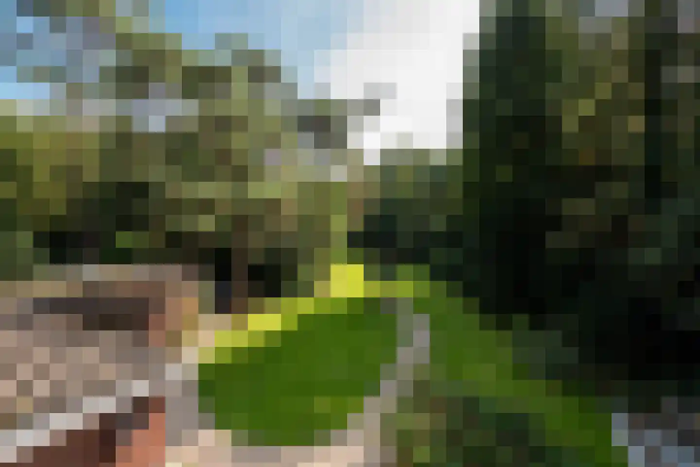 Baarnseweg 8 Bosch en Duin thumbnail 45