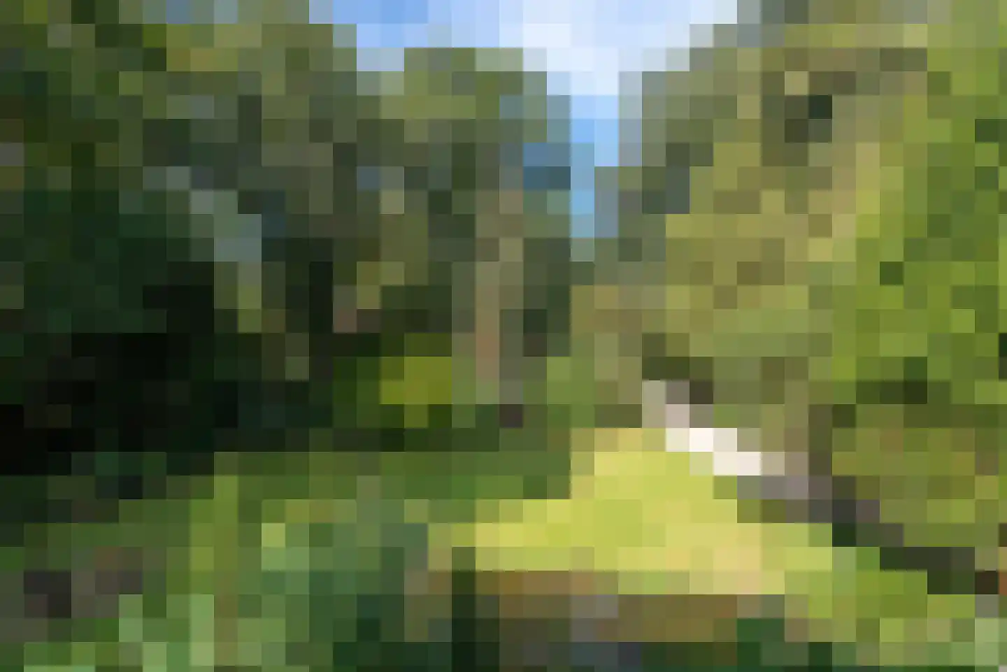 Baarnseweg 8 Bosch en Duin thumbnail 49