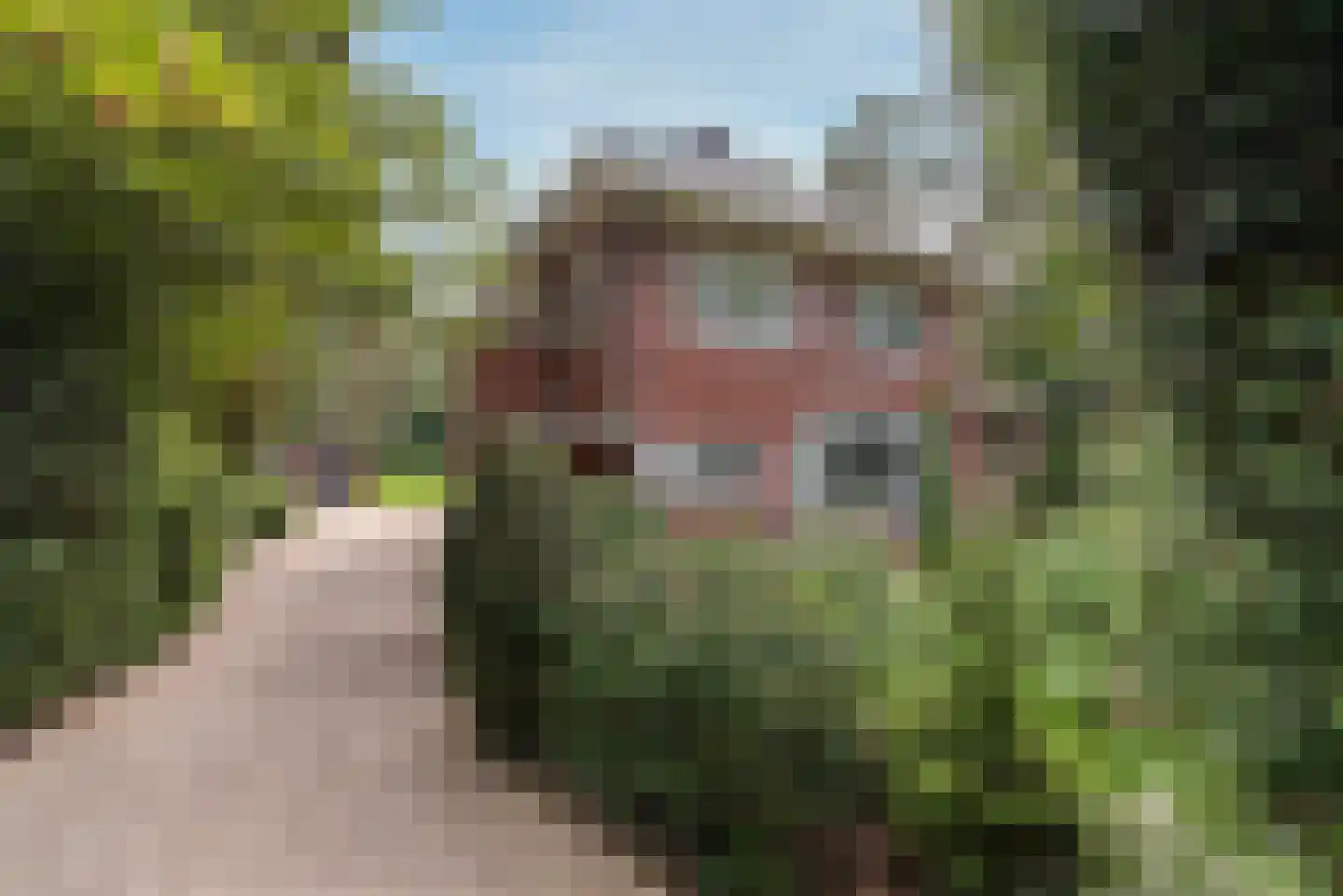 Baarnseweg 8 Bosch en Duin thumbnail 5