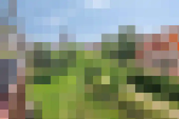 Baars 10 Amersfoort thumbnail 20
