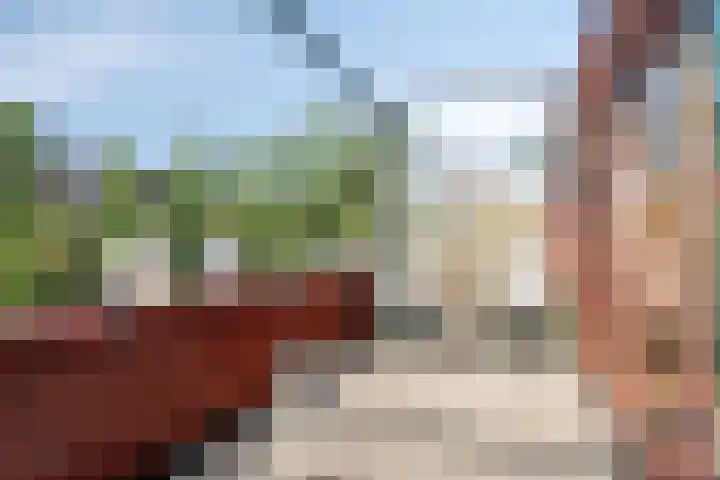 Baars 10 Amersfoort thumbnail 5