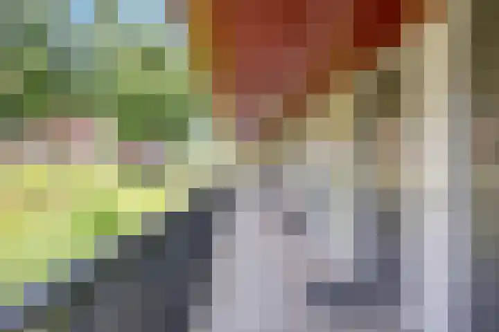 Baars 10 Amersfoort thumbnail 6