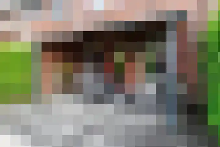 Baars 26 Borne thumbnail 4