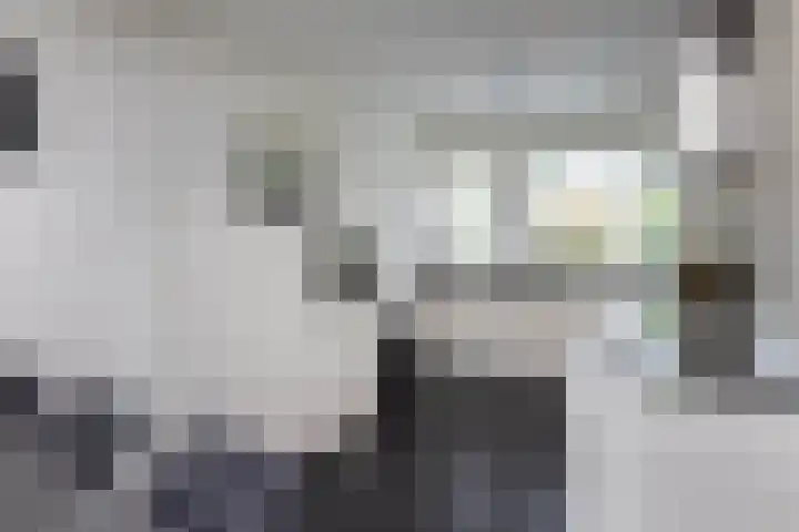 Baars 28 Borne thumbnail 10