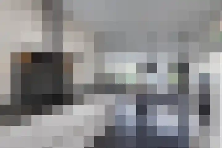 Baars 28 Borne thumbnail 11