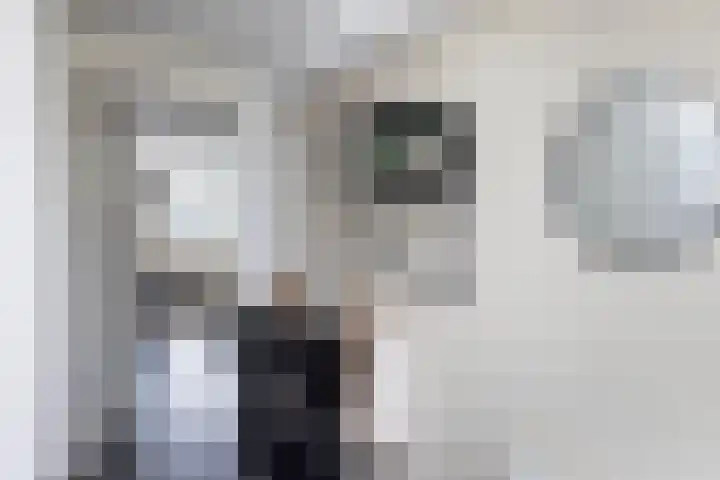 Baars 28 Borne thumbnail 12